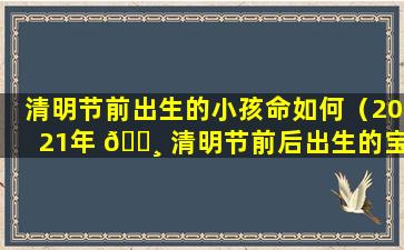 清明节前出生的小孩命如何（2021年 🕸 清明节前后出生的宝宝好不好）